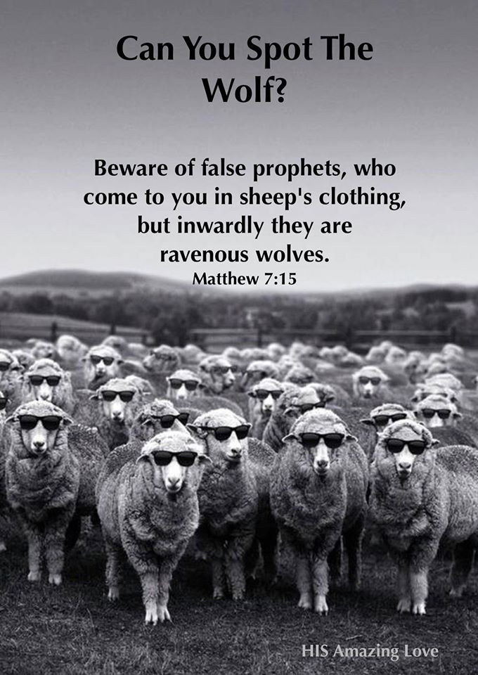 WHY DID YAHUSHUA CALL THEM WOLVES IN SHEEP CLOTHING?