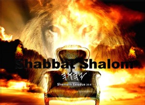 YHWH Shabbat Shemoth20v8