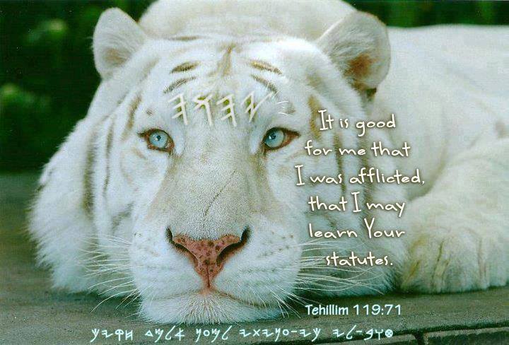 Principalities & Powers Exposed by Etymologists Eliyahu