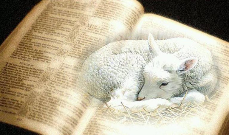 I am experiencing the light of YaHuWaH